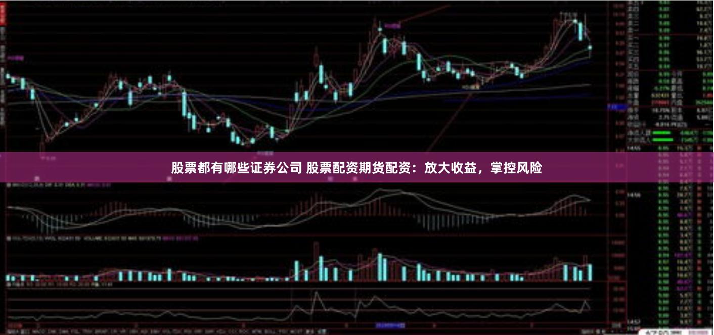 股票都有哪些证券公司 股票配资期货配资：放大收益，掌控风险